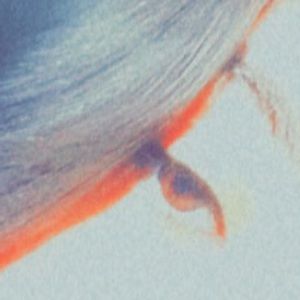 Meet your Posher, Vivian